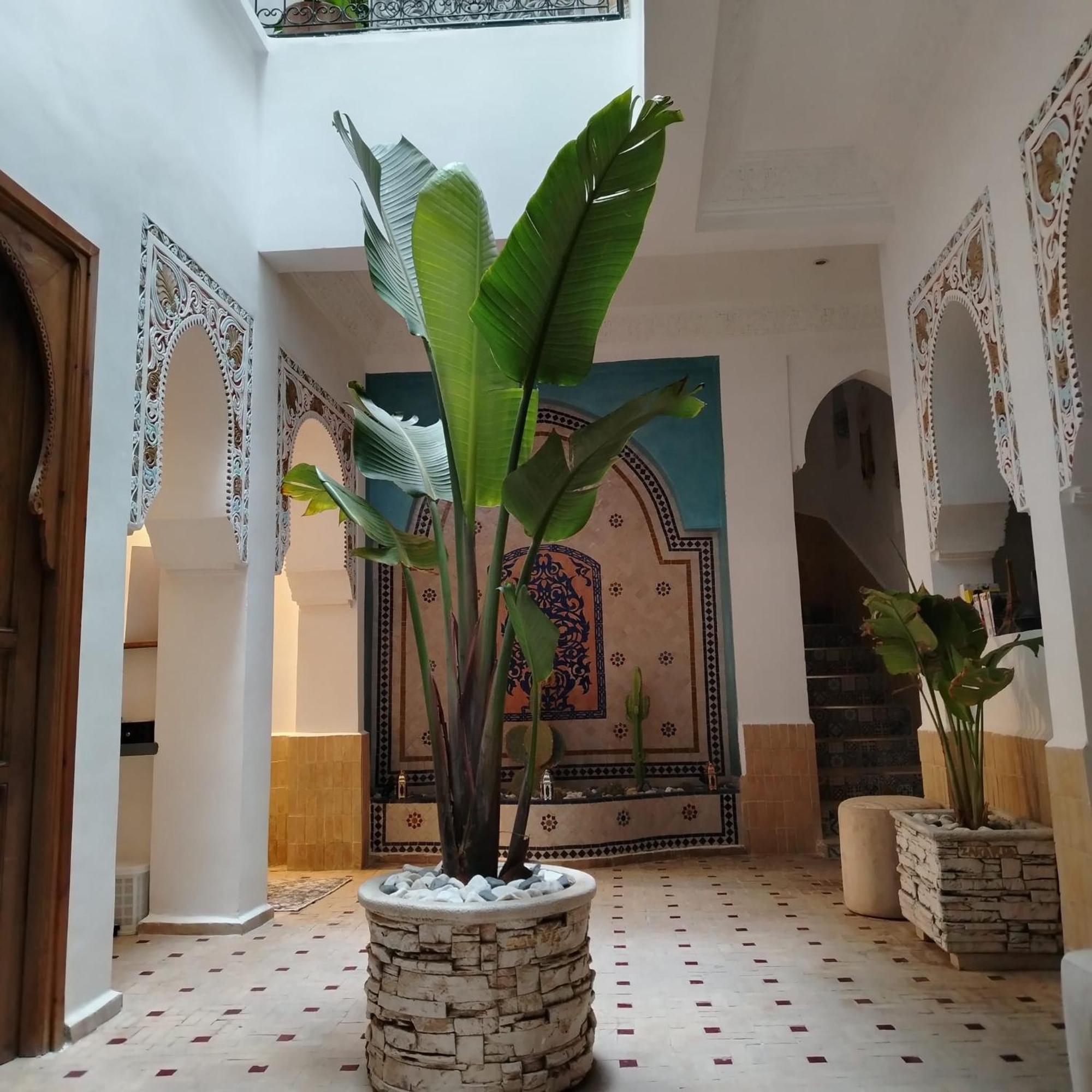 Riad & Spa Sous Le Soleil Chez Jerome Et Pamela Ch Marrakchi مراكش المظهر الخارجي الصورة